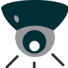 Surveillance Services