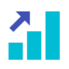 Auditing support services