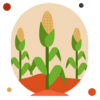 Mixed Farming 