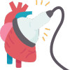 Heart Ultrasound Services