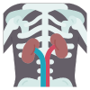 Nuclear Medicine Scans 