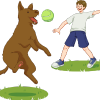 Animal Training