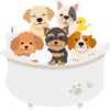 Pet Grooming Shop