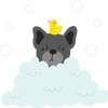 Pet Spa Services