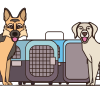 Pet Transportation Services