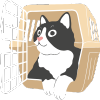 Pet Friendly Travel 