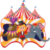 Circus & Live Shows