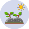 Mulching Services