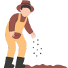 Lawn Seeding 