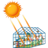 Green House & Hydroponic System 