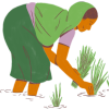 Organic Farming Solutions