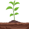 Soil Health Monitoring