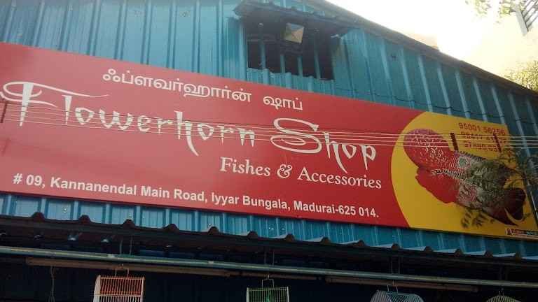 Shop Image