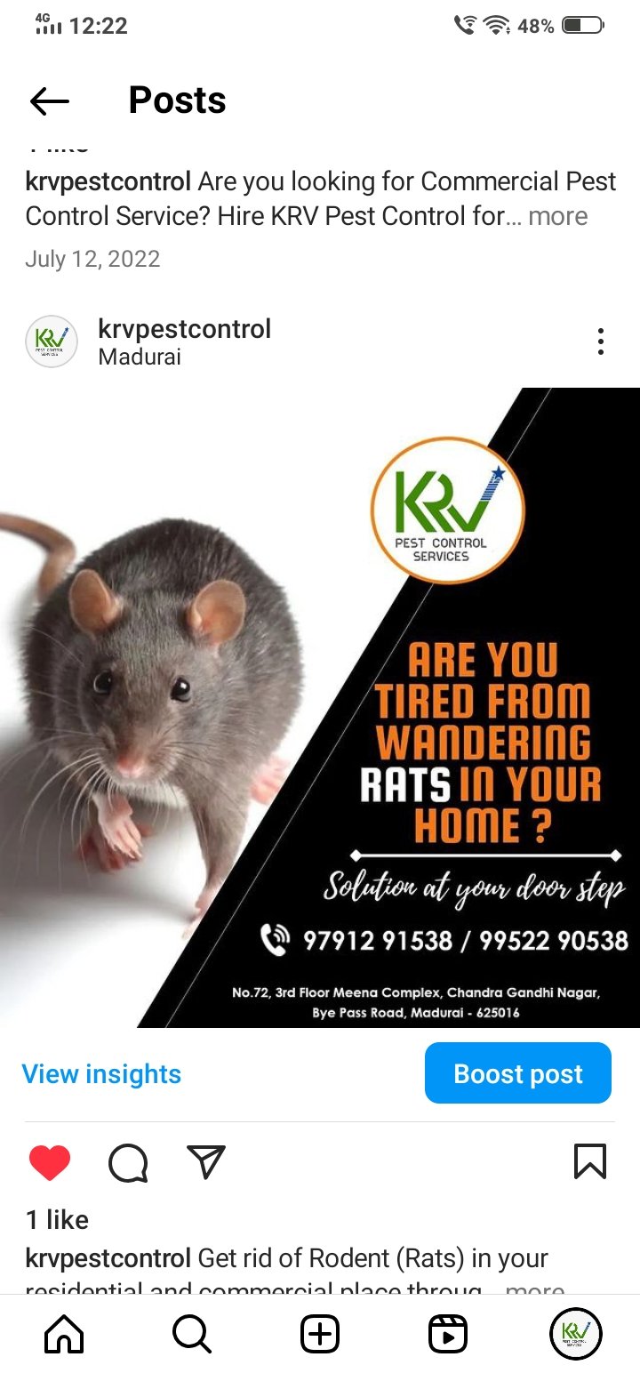 pest control services 