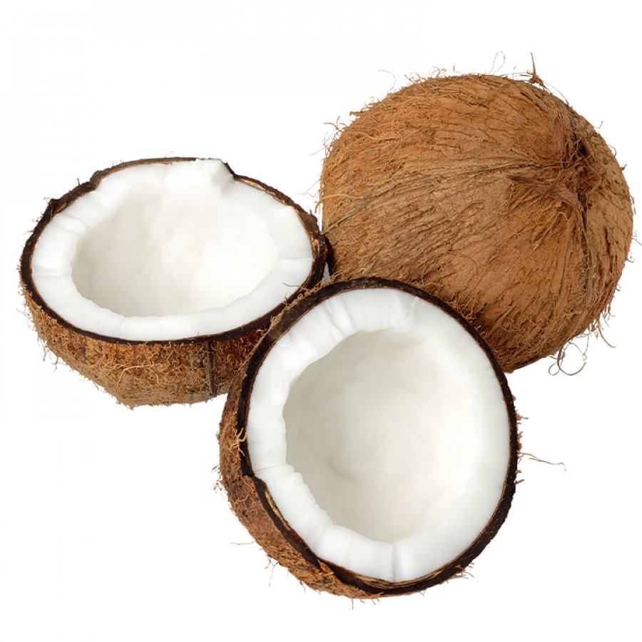 தேங்காய் (Coconut)