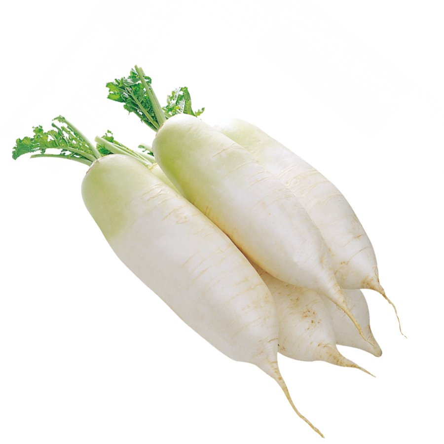 முள்ளங்கி (Radish)