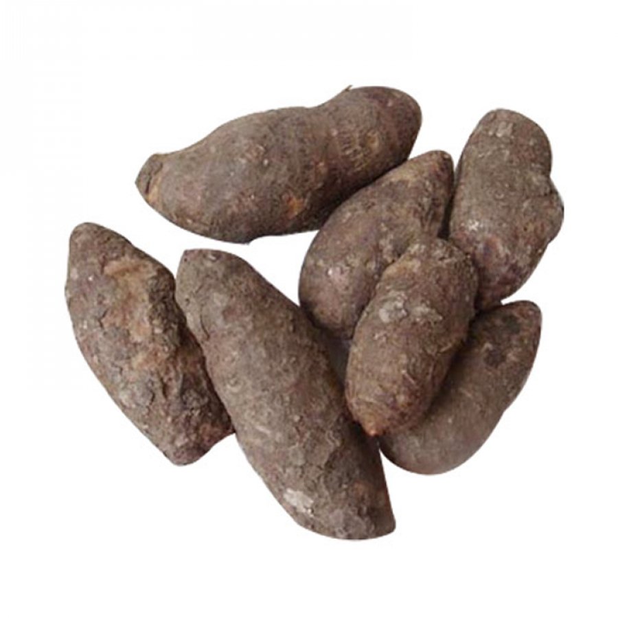 சேப்பங்கிழங்கு (Colocasia)