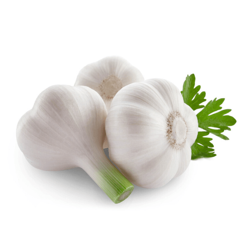 பூண்டு (Garlic)