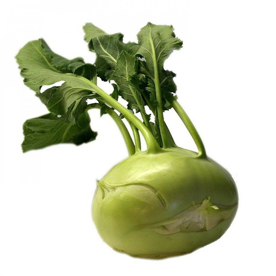 நூக்கல் (Nookal)