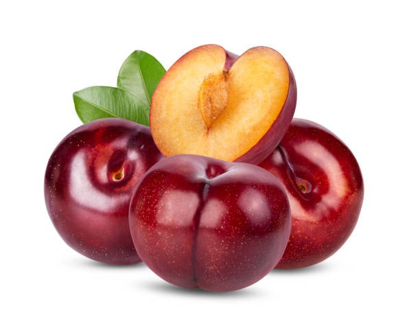 பிளம் பழம் (Plum)
