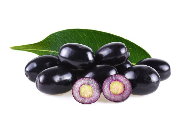 நாவல்பழம் (Java Plum)