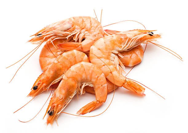 இறால் (Prawn)