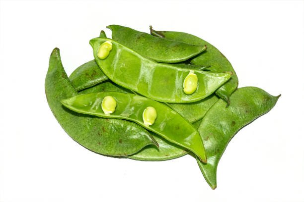 அவரைக்காய் (Broad Beans)