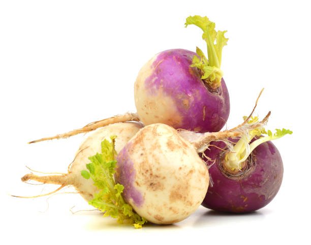  சிவப்பு முள்ளங்கி (Turnip)