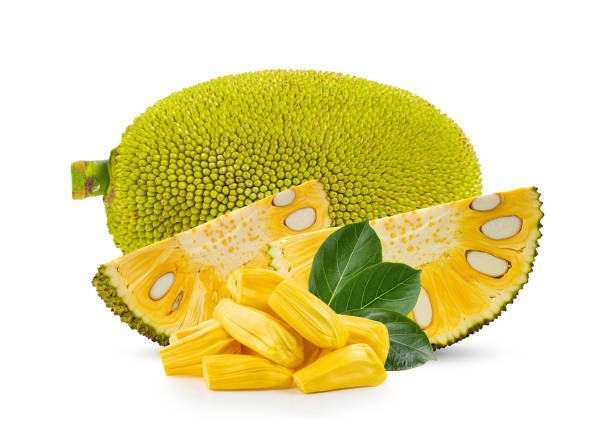 பலாப்பழம் ( Jackfruit )