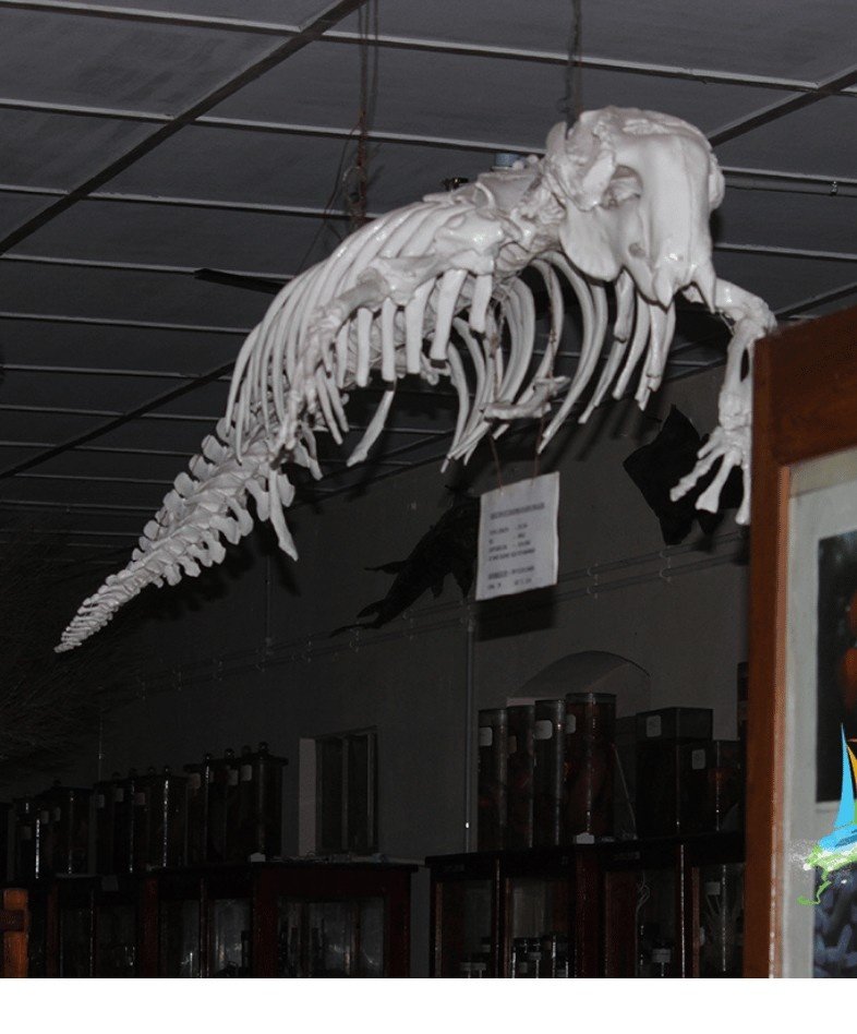 Shop Image