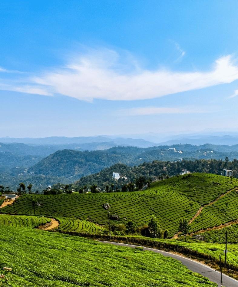 Munnar Hill Station