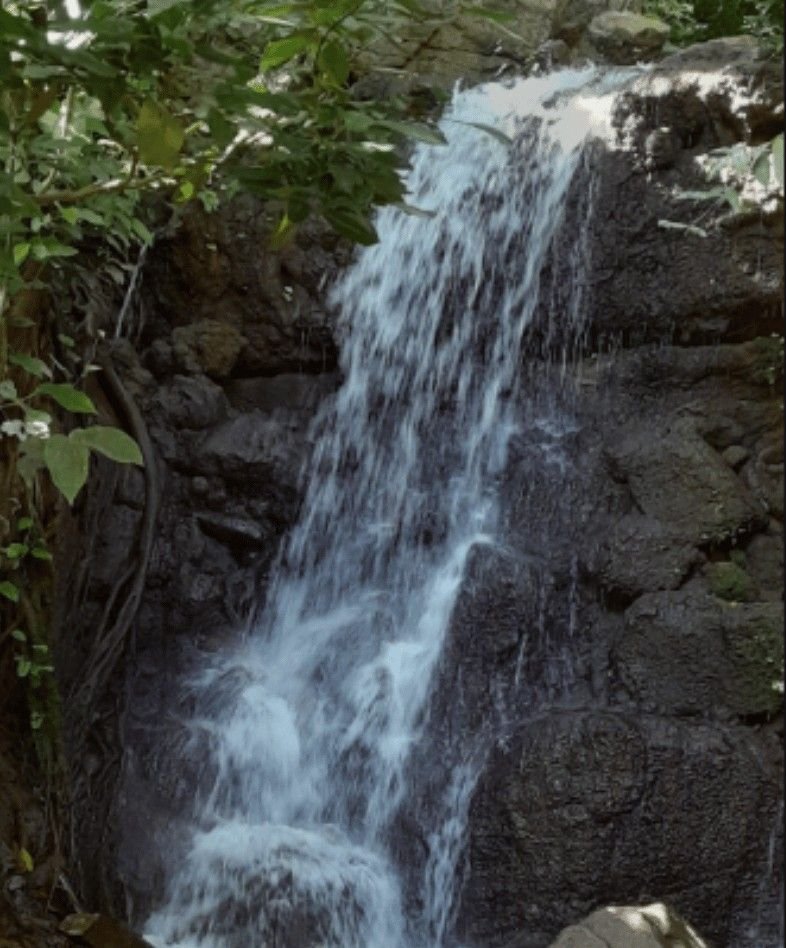 Kuttupatti Falls