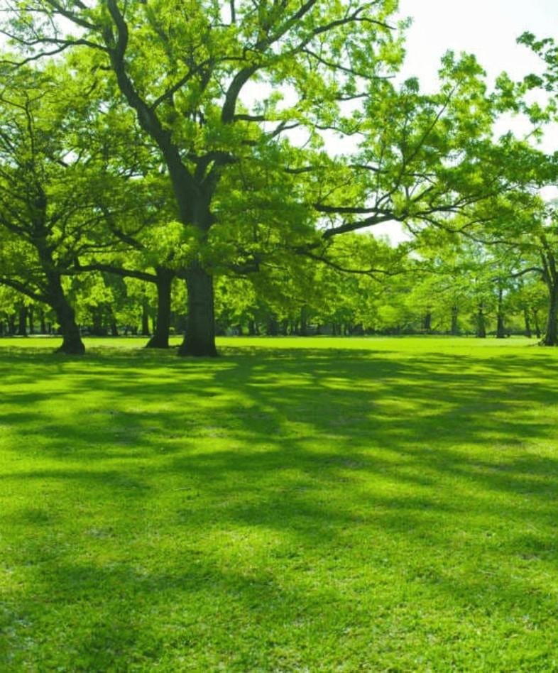 Vishwanathapuram Park