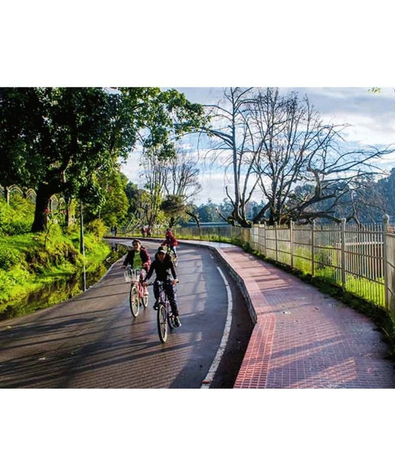Kodaikanal Lake Walk Park