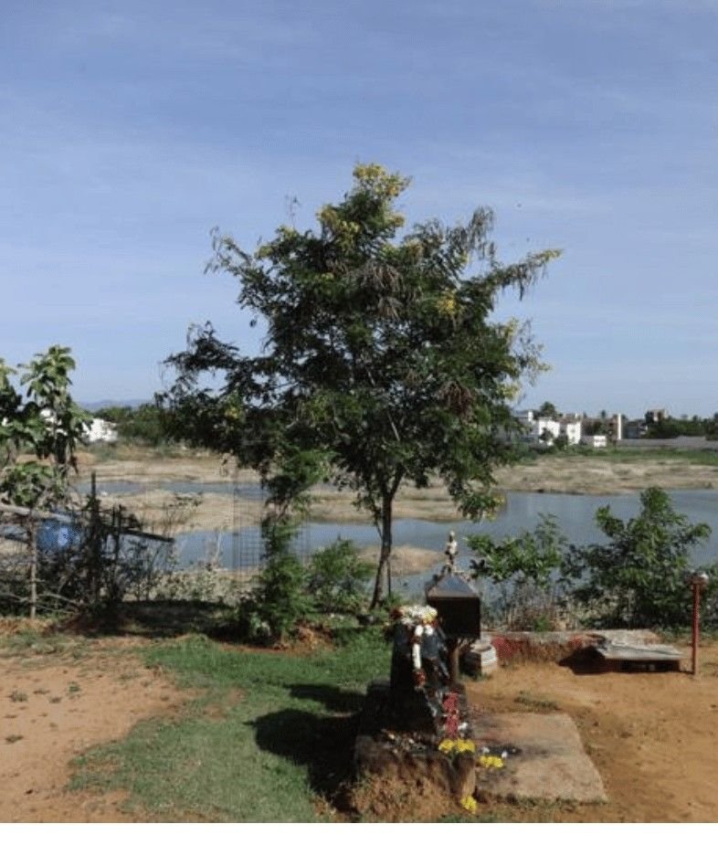 Narayanapuram lake walk park